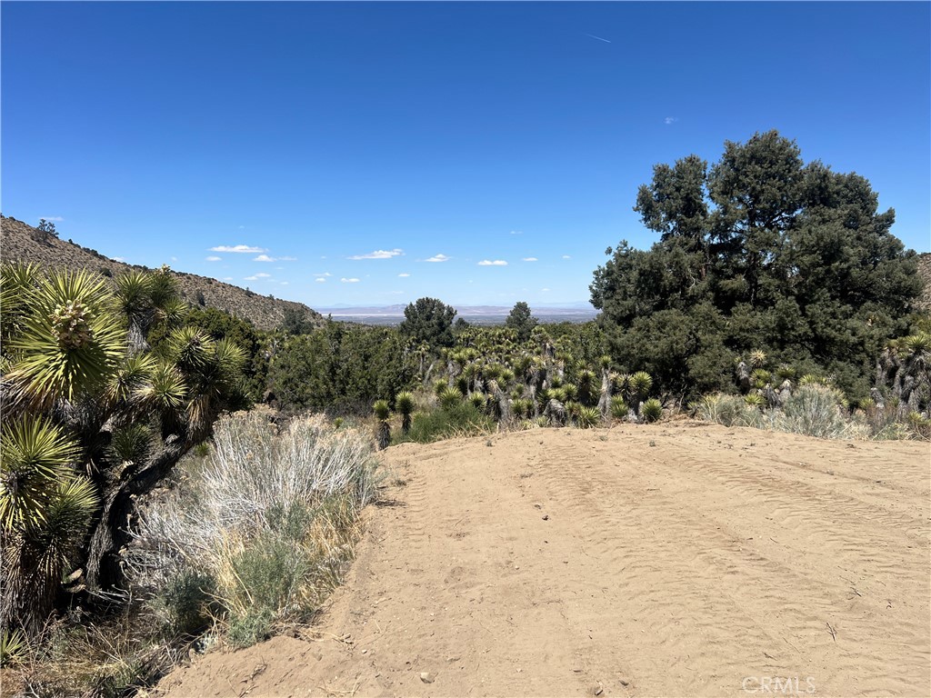 0 Evergreen Road Property Photo 1