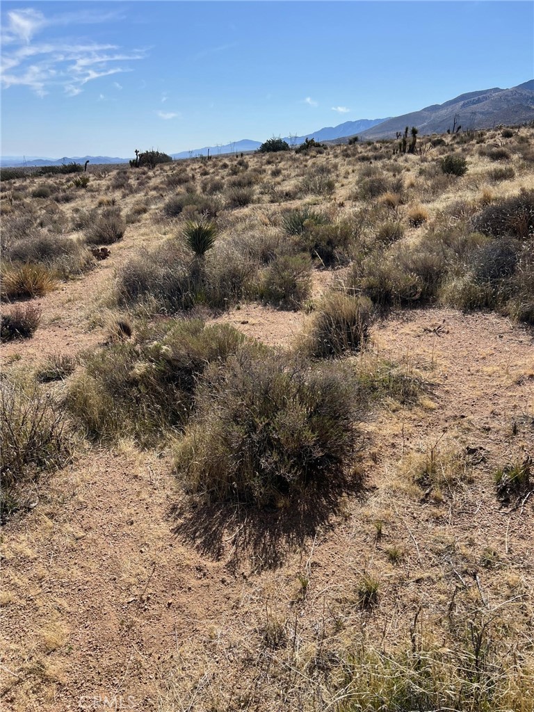 23 Outpost Road Property Photo 11