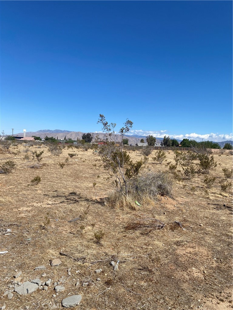 0 Hesperia Road Property Photo 19