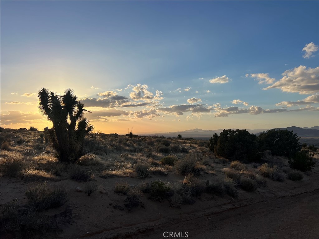 3 Ocotillo Property Photo 1