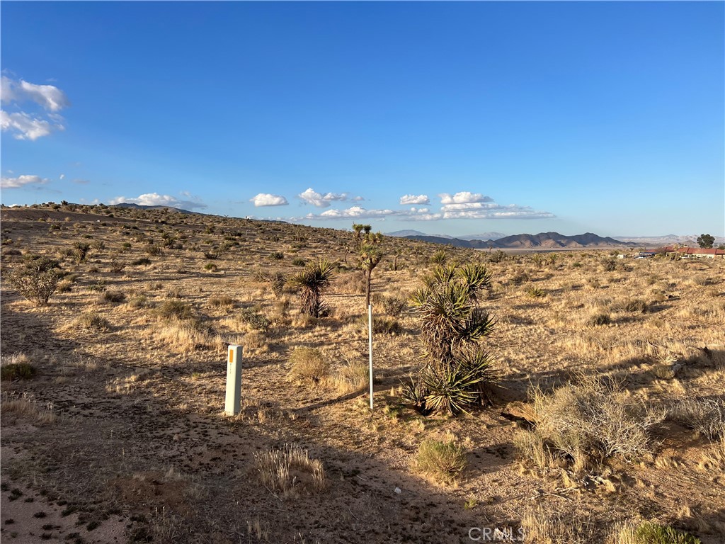 3 Ocotillo Property Photo 7