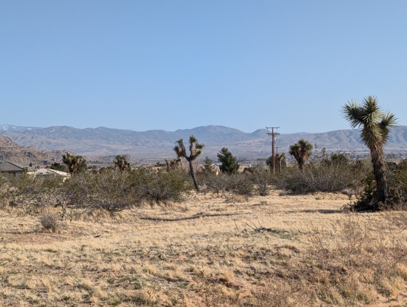 0 Cuyama Road Property Photo 4
