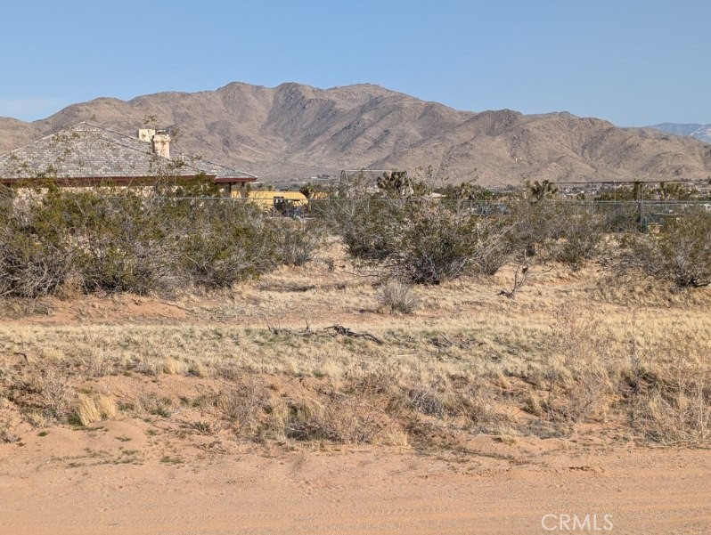0 Cuyama Road Property Photo 9
