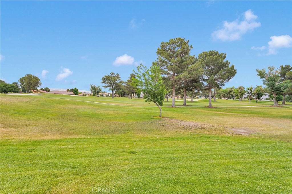 12775 Rain Shadow Road Property Photo 34