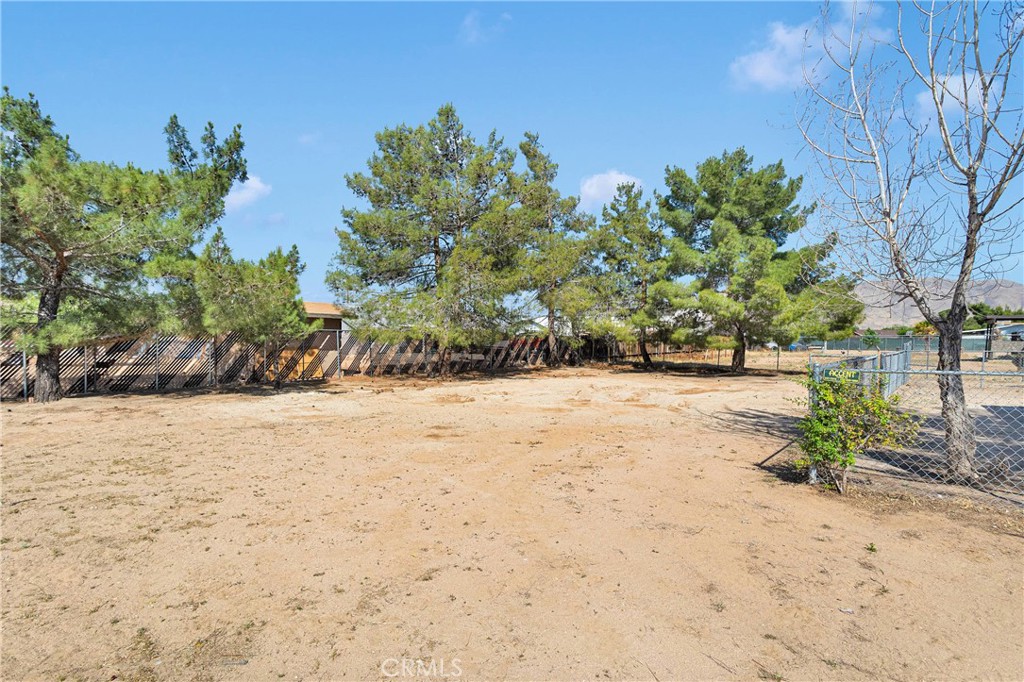 19002 Vine Street Property Photo 26