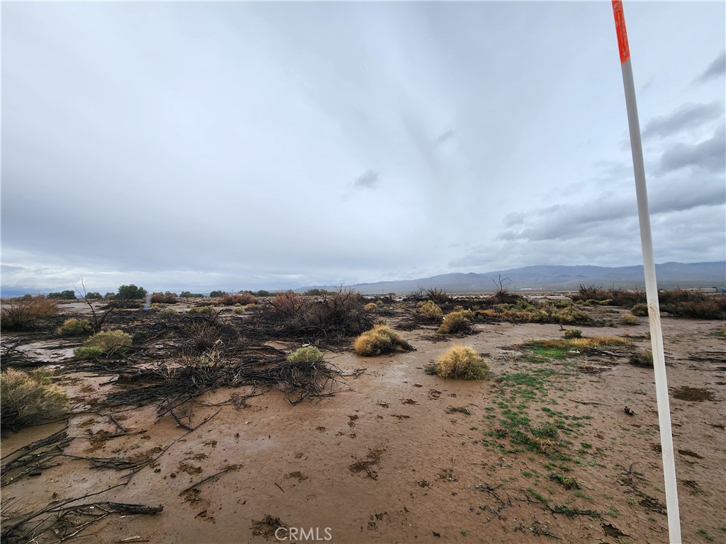 20 Ac Morgan Lane Property Photo 2