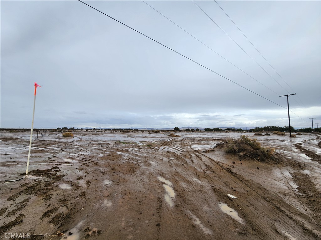 20 Ac Morgan Lane Property Photo 4