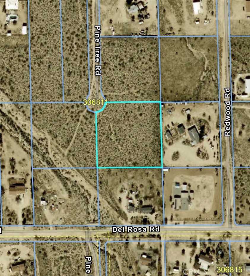 0 Pine Tree Road Property Photo 1