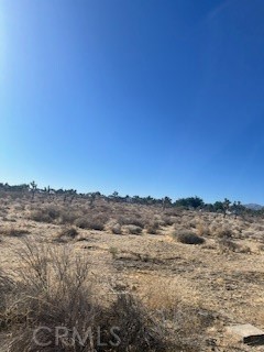 0 Pine Tree Road Property Photo 1