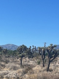 0 Pine Tree Road Property Photo 2