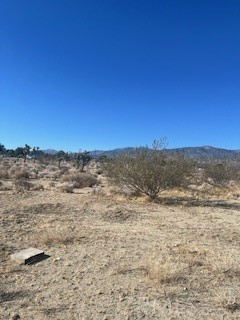 0 Pine Tree Road Property Photo 2