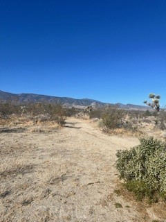 0 Pine Tree Road Property Photo 3