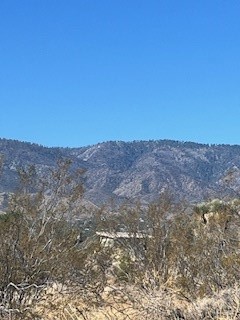 0 Pine Tree Road Property Photo 4