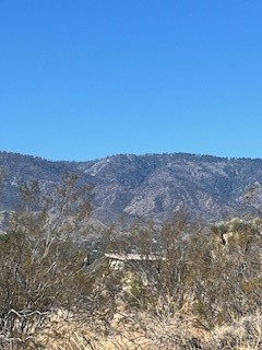 0 Pine Tree Road Property Photo 6