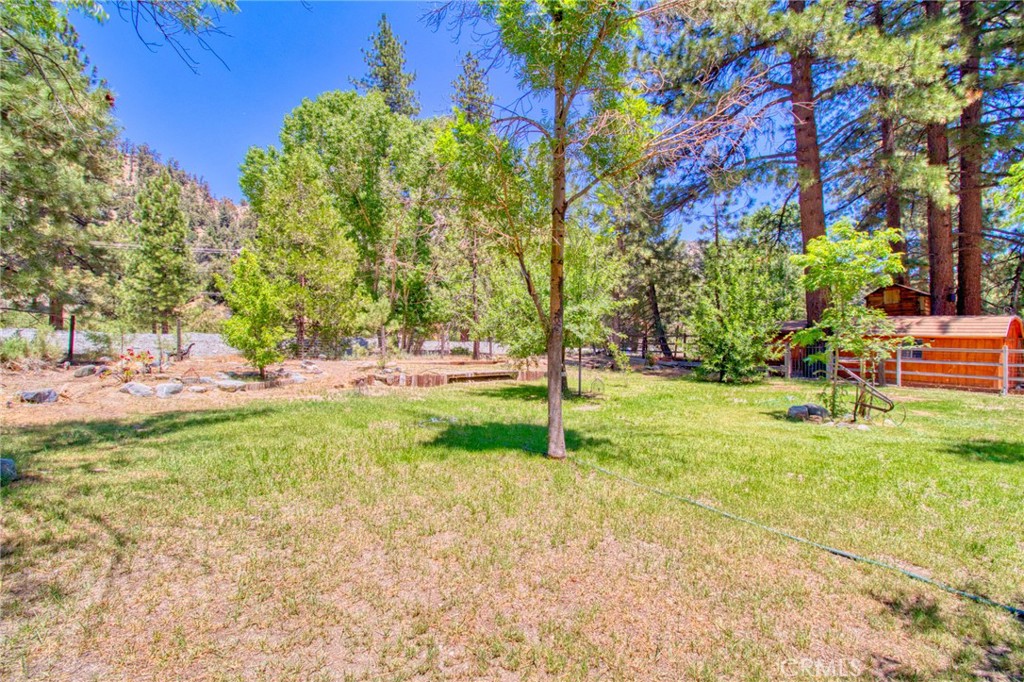 960 Snowbird Road Property Photo 48