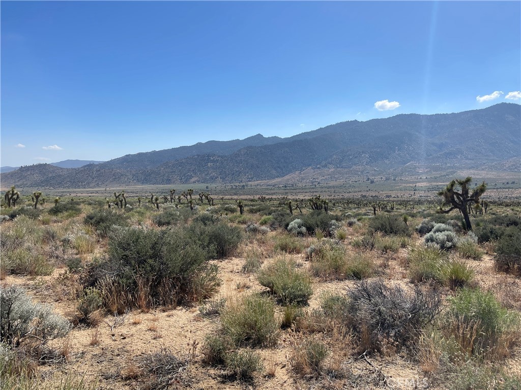15310023 Kelso Valley Road Property Photo