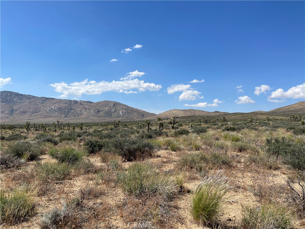 15310023 Kelso Valley Road Property Photo 3
