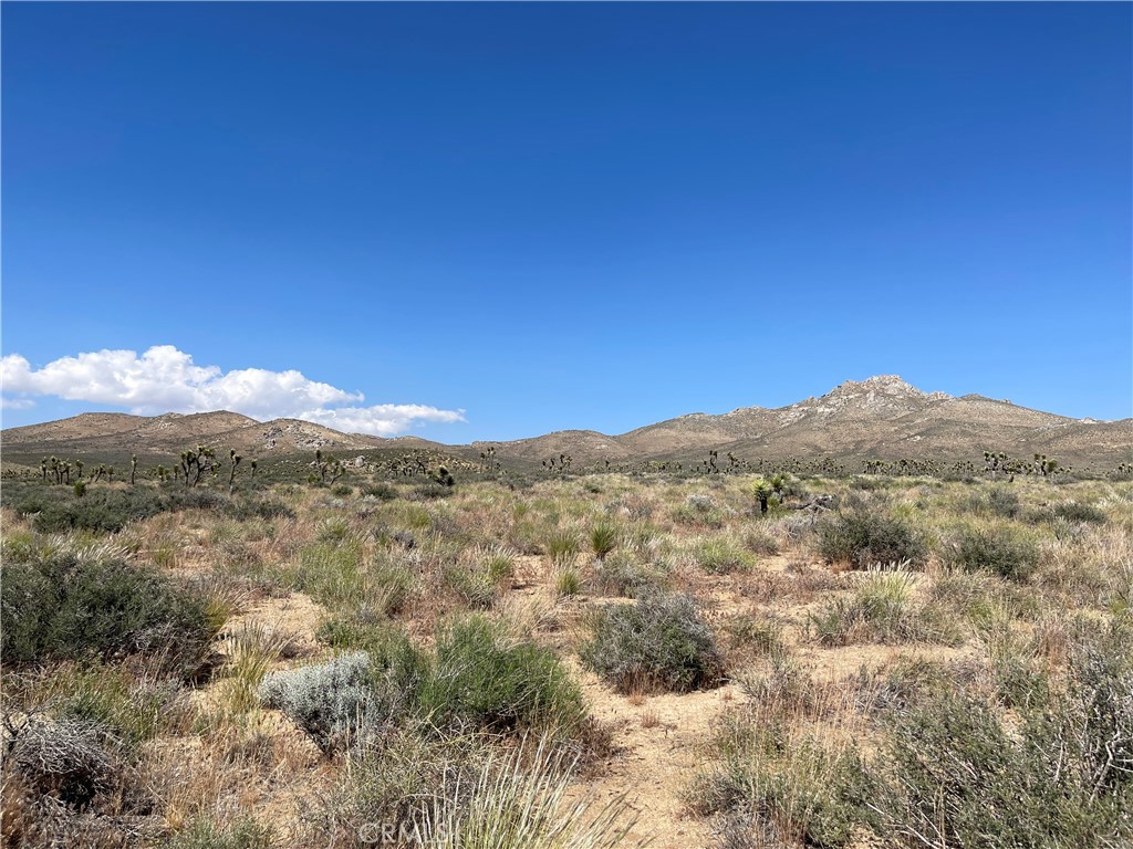 15310023 Kelso Valley Road Property Photo 4