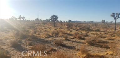 7 Near Racoon Avenue Property Photo 1