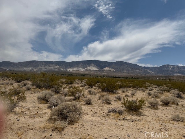 36160 Palm Road Property Photo 11