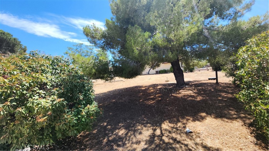 17461 Preston Street Property Photo 24