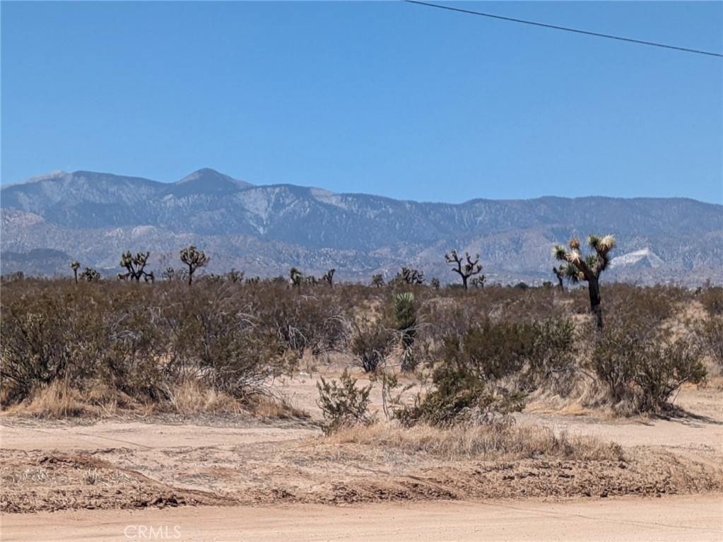 0 Del Rosa Road Property Photo 13