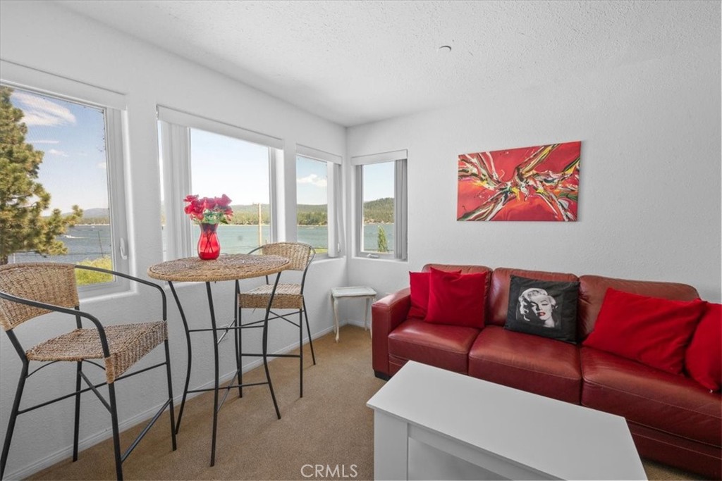 38512 North Shore Drive Property Photo 29