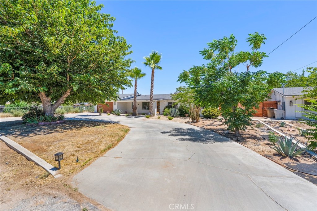 8263 3rd Avenue Property Photo 2