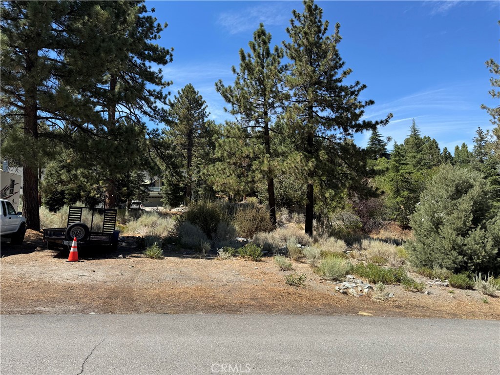 0 Zermatt Drive Property Photo 1