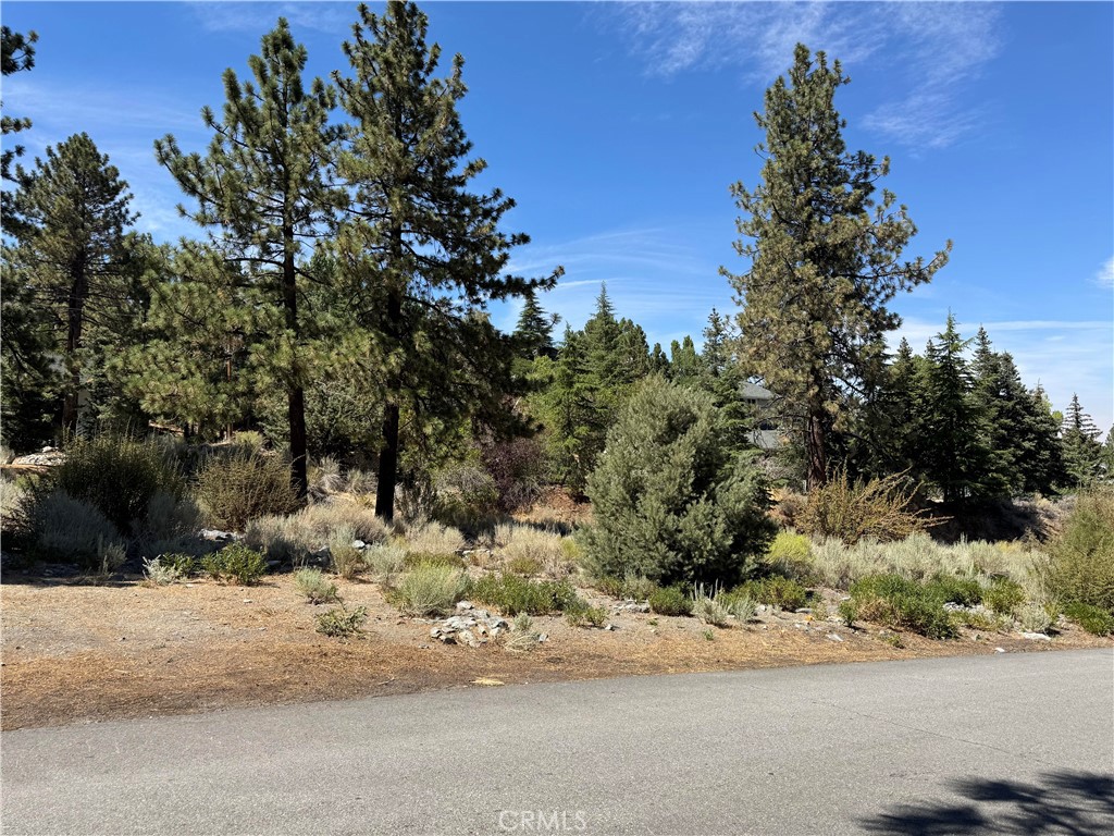 0 Zermatt Drive Property Photo 4
