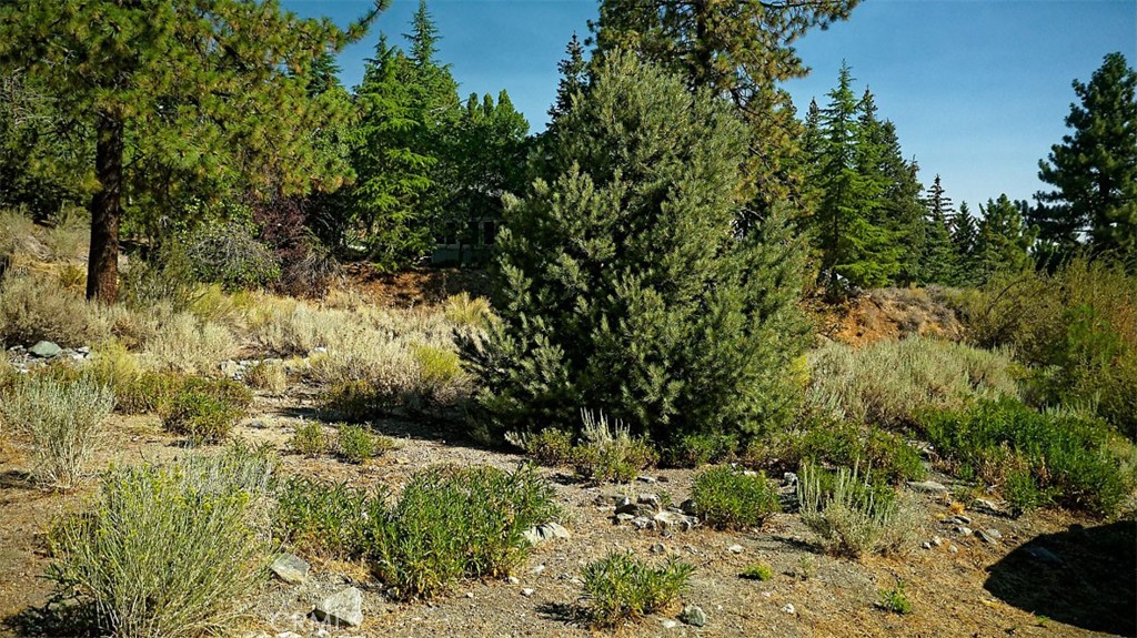 0 Zermatt Drive Property Photo 14