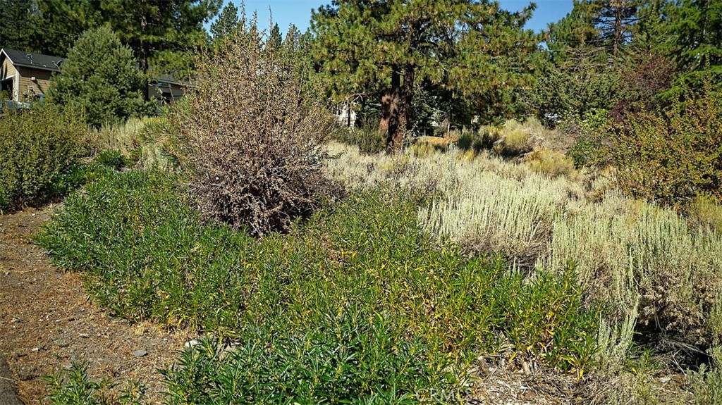 0 Zermatt Drive Property Photo 15