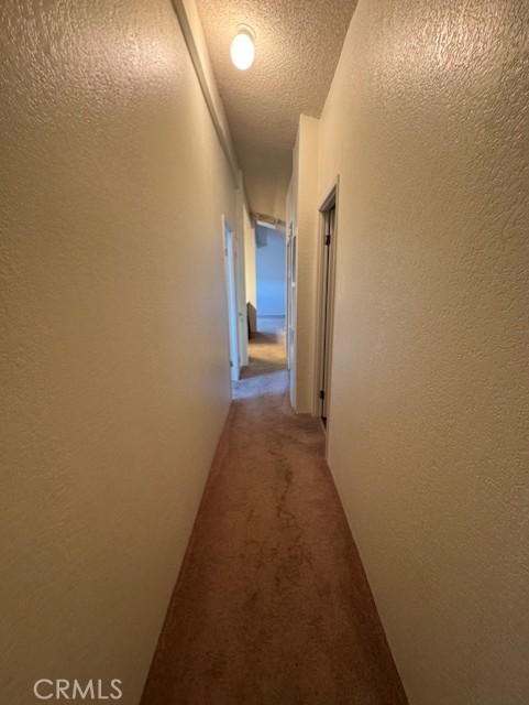 3520 Needles Highway 13 Property Photo 17