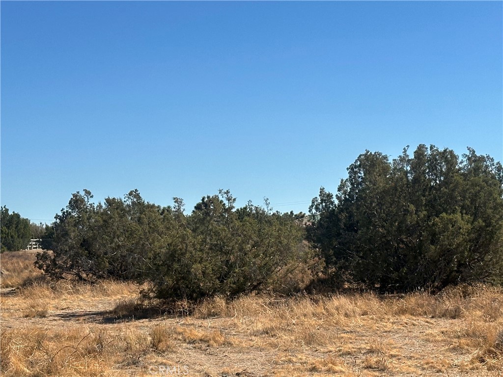 0 Kittering Road Property Photo 2