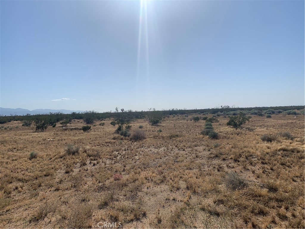 17374 Koala Road Property Photo 7