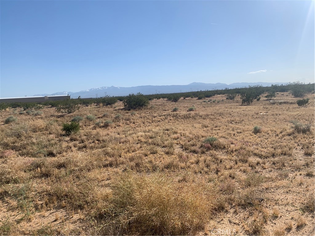 17374 Koala Road Property Photo 8