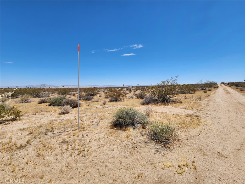 15 Ac Bowman Trail Property Photo 2