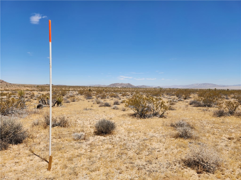 15 Ac Bowman Trail Property Photo 3