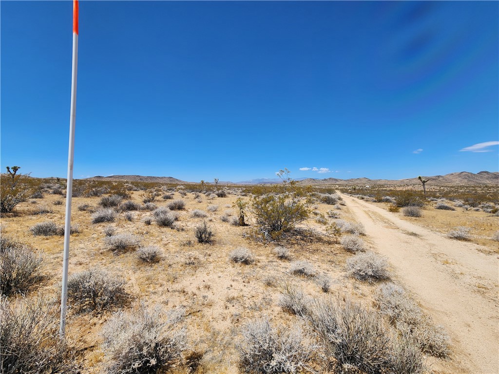 15 Ac Bowman Trail Property Photo 4