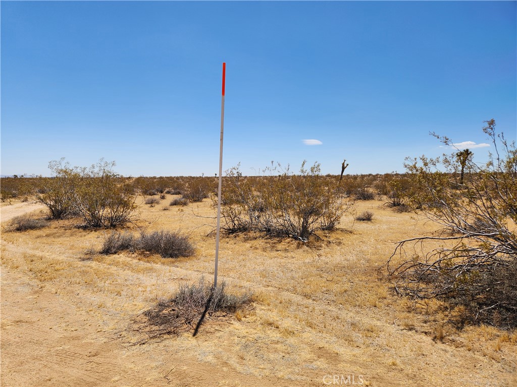 15 Ac Bowman Trail Property Photo 5