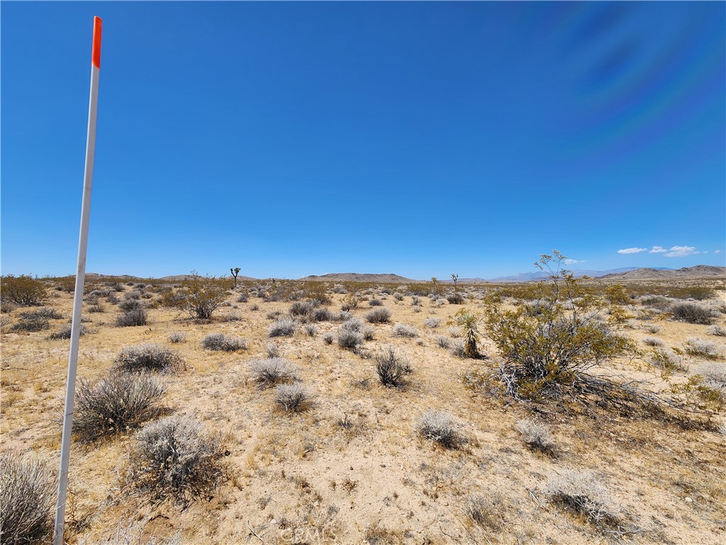 15 Ac Bowman Trail Property Photo 6