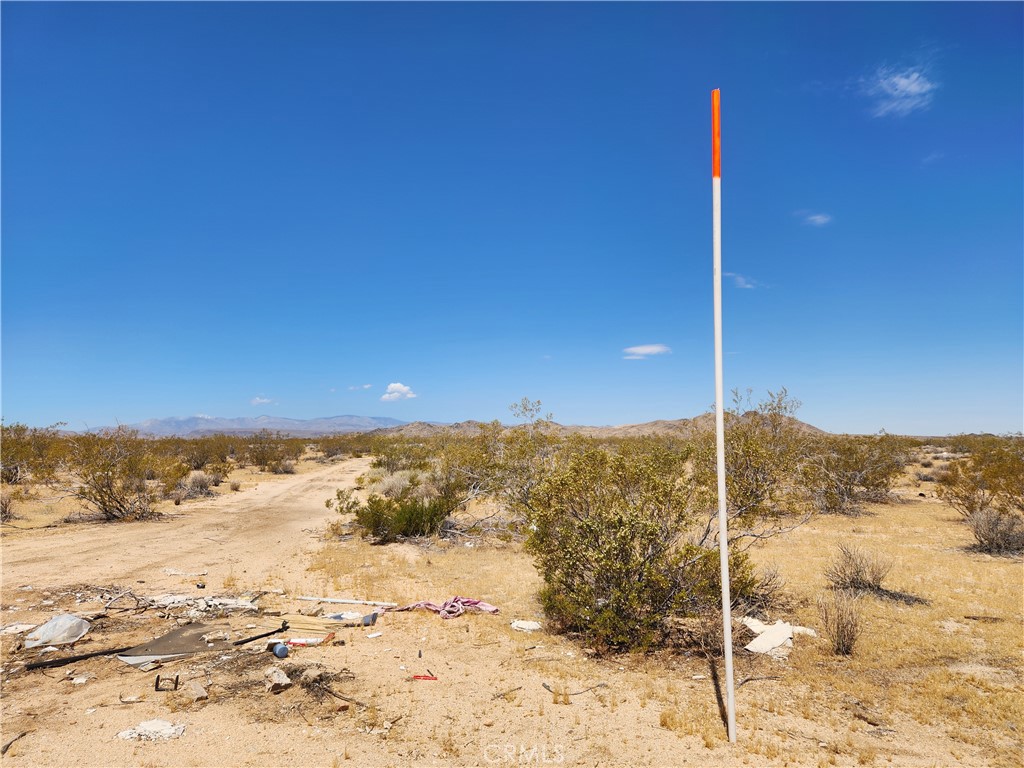 40 Ac Joshua Tree Property Photo 1
