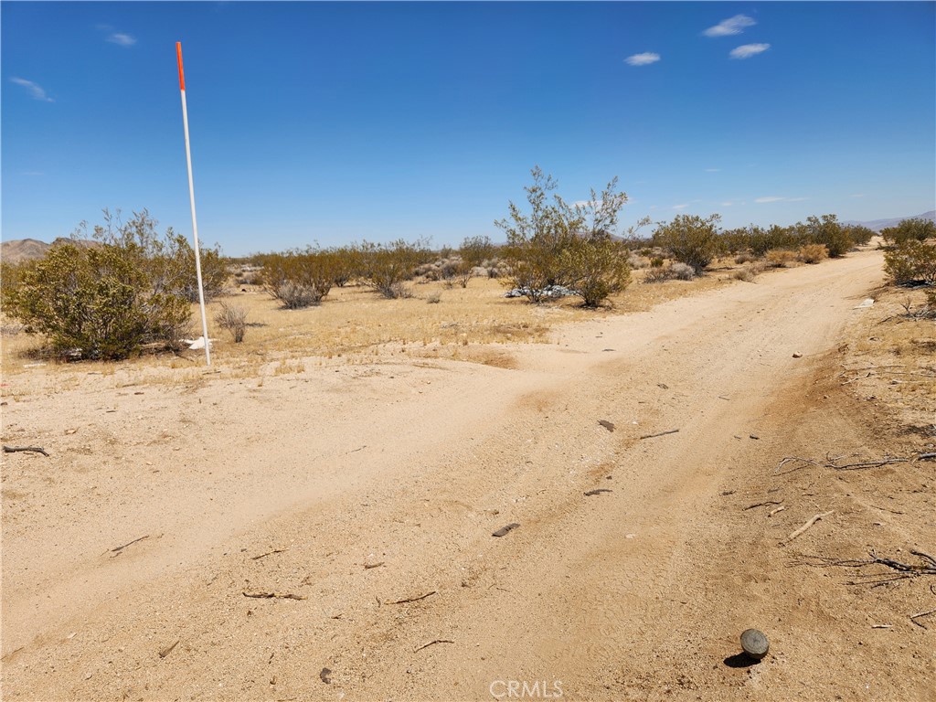 40 Ac Joshua Tree Property Photo 2
