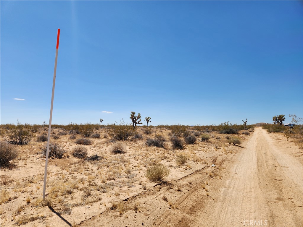 40 Ac Joshua Tree Property Photo 5