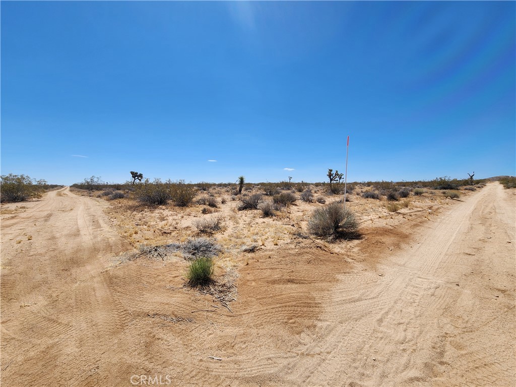 40 Ac Joshua Tree Property Photo 6
