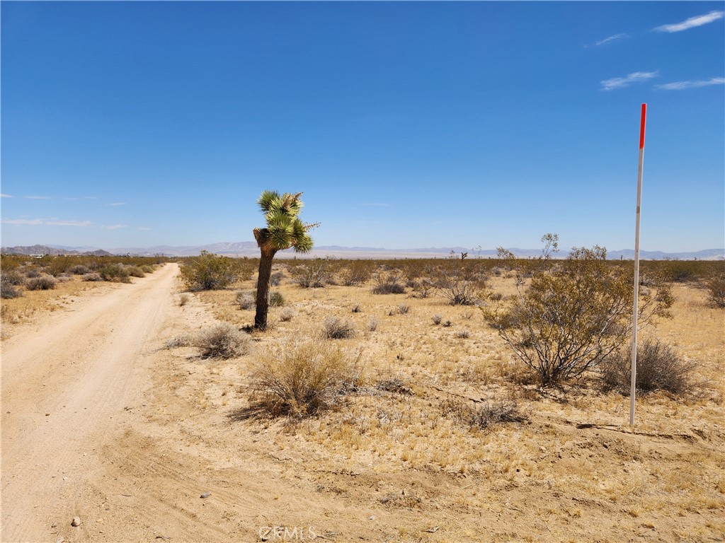 40 Ac Joshua Tree Property Photo 8