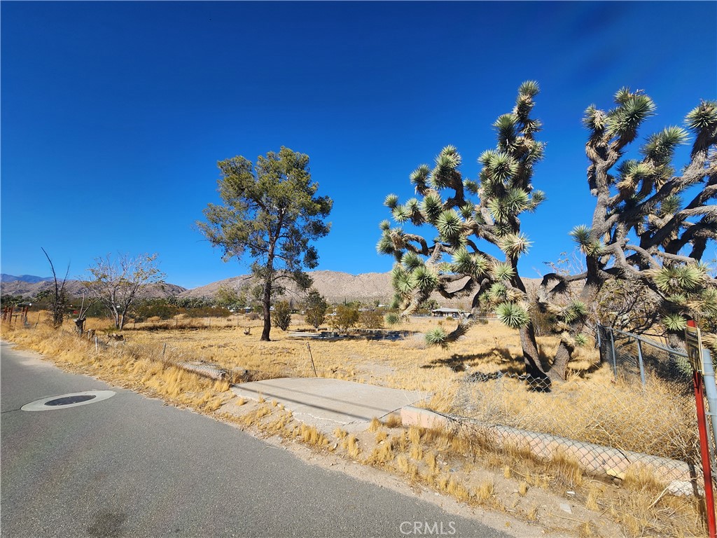 56646 Antelope Trail Property Photo 3