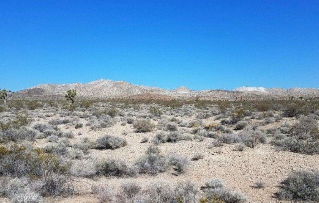 0 Shadow Mountain Property Photo 1