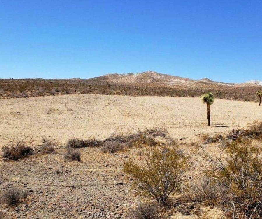 0 Shadow Mountain Property Photo 6