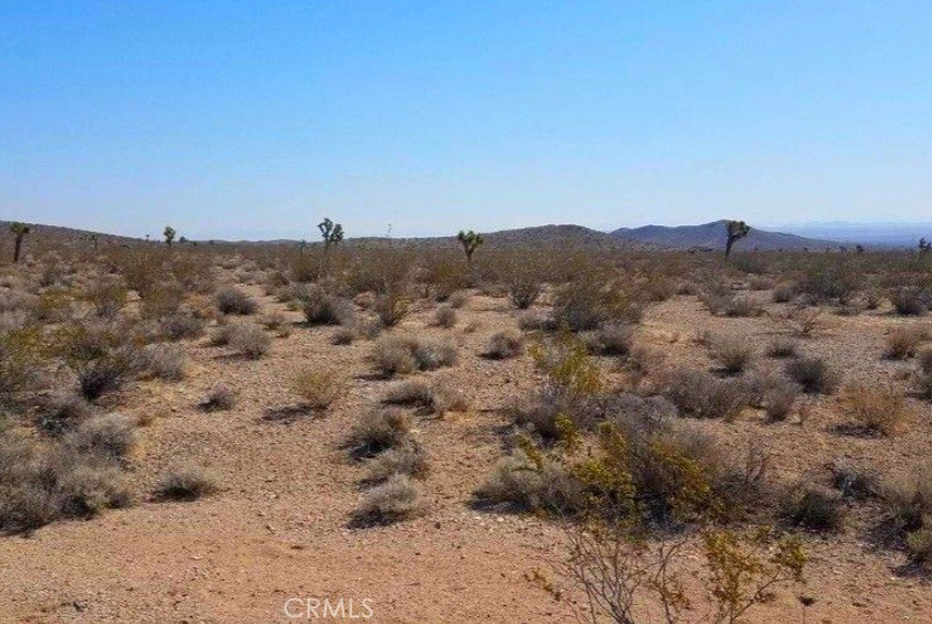 0 Shadow Mountain Property Photo 7